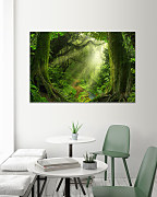 Obraz Chodník v džungli